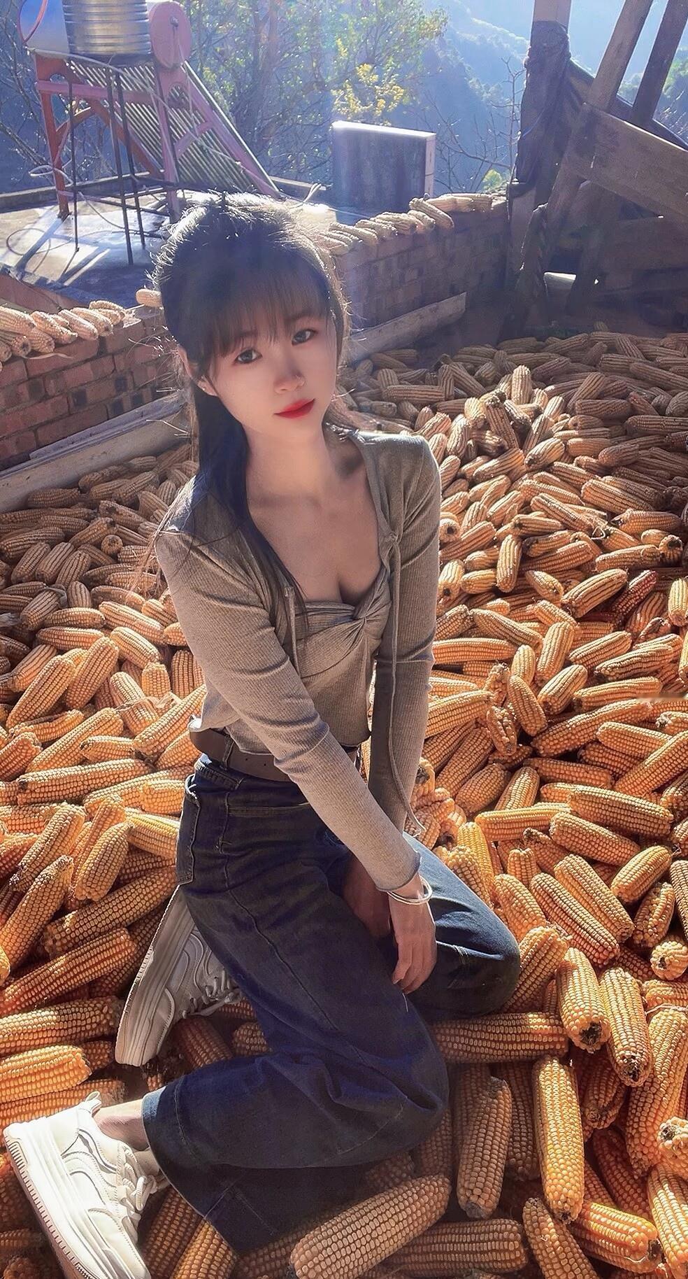 秋收时节，田间劳作，收获满满！🌽🌾🌻