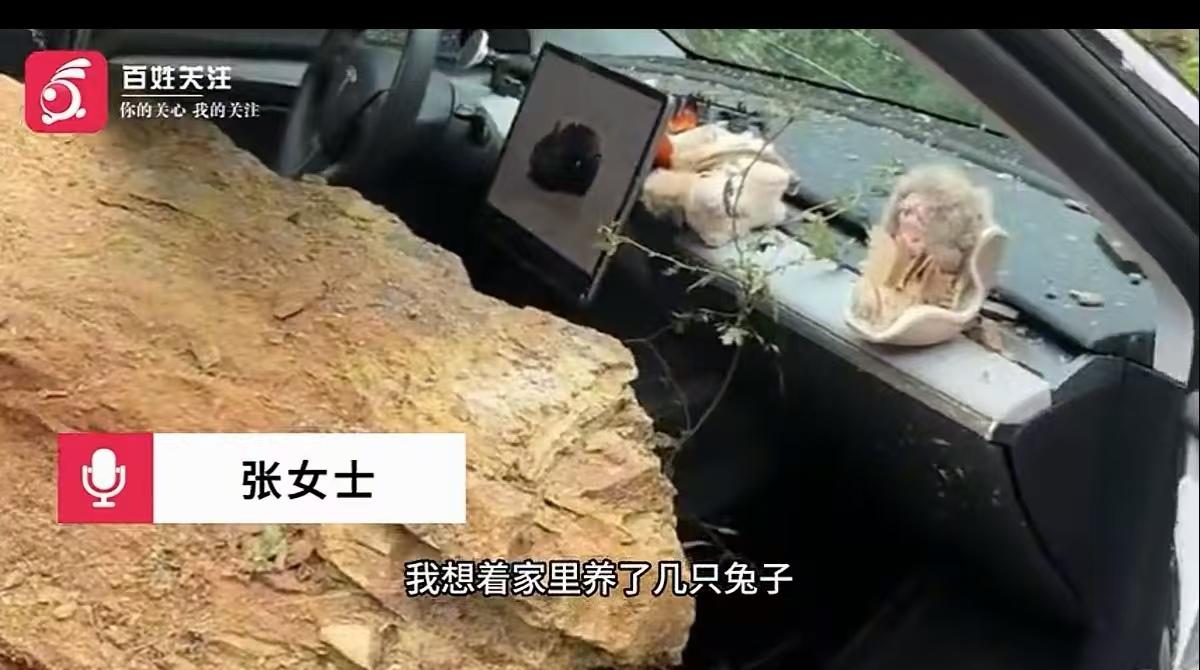 兔子救了两条命！重庆，女子与男友放假回到家，将车停在门外的山下。吃完中午饭，两人
