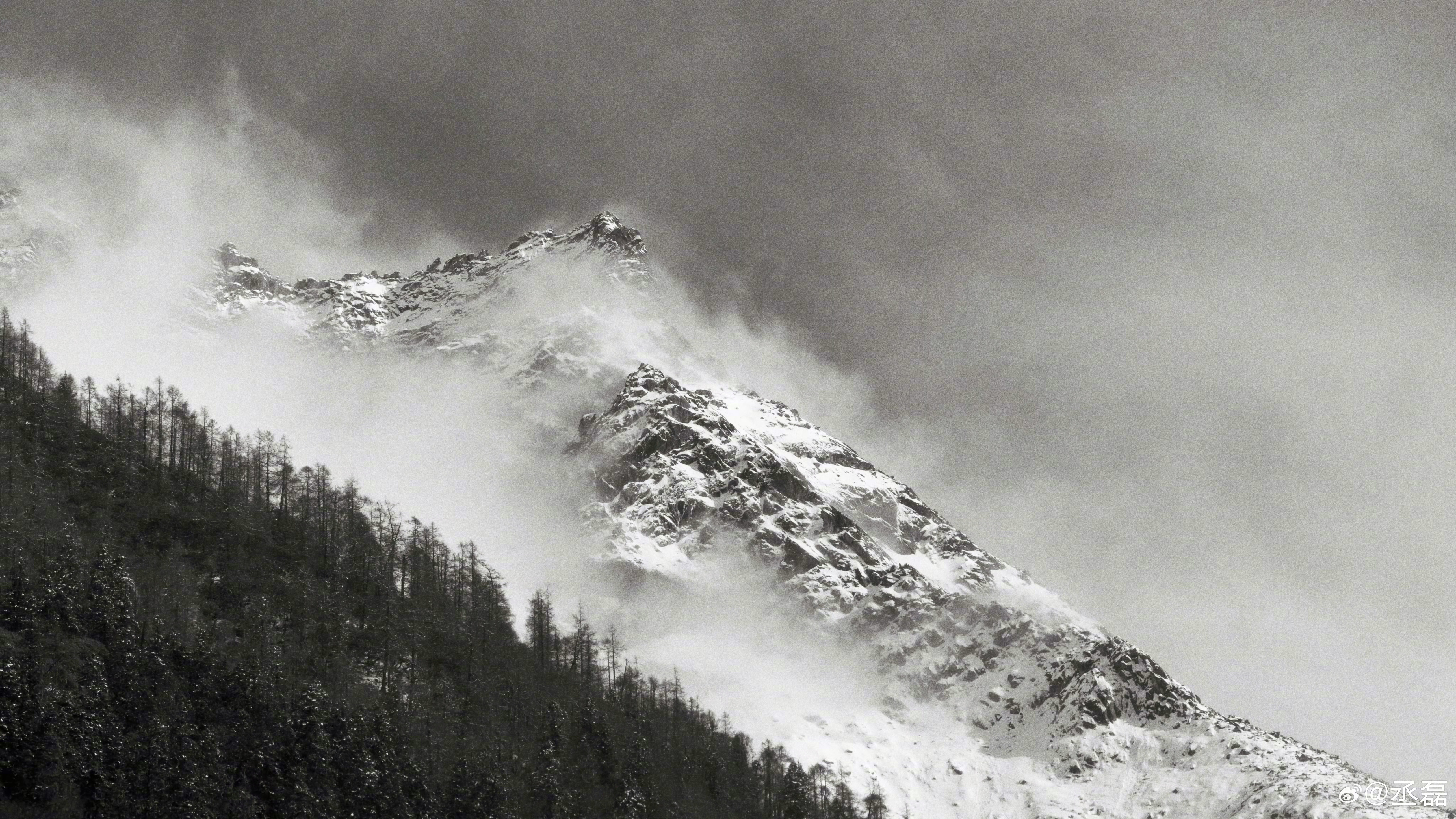 丞磊杀青后的丞磊戏外也是一枚懂拍摄，懂意境的摄影实力派呢。从下而上的角度拍摄，果