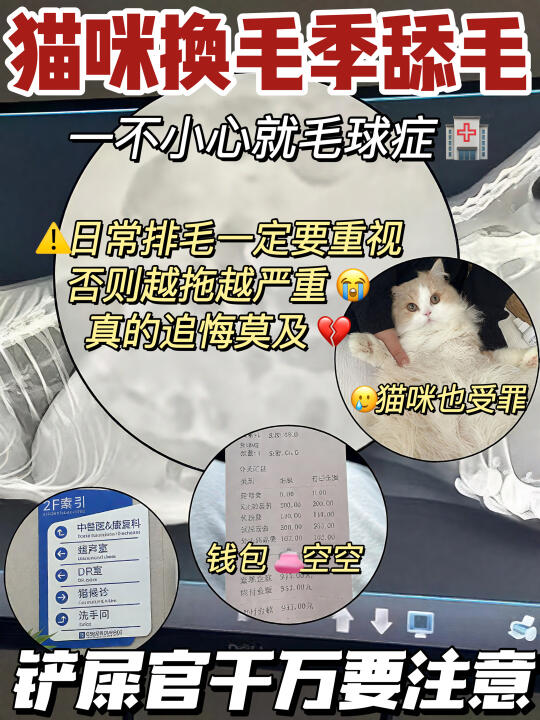 我请问呢，小猫咪换季吐毛是有什么KPI吗