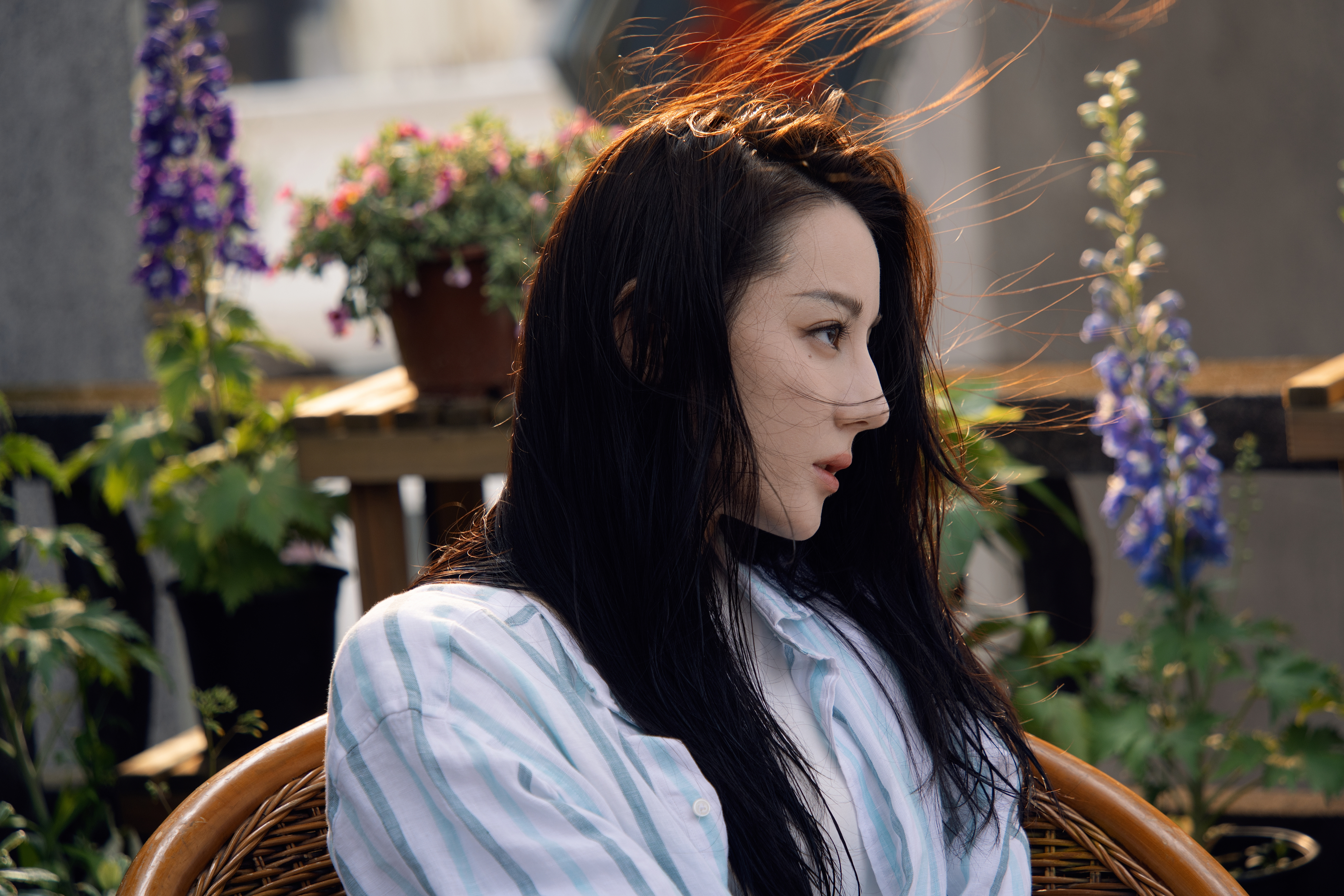 迪丽热巴☀聂九罗的枭日记阳光照耀，微风拂过的瞬间，这一刻你是不是也仿佛感觉自