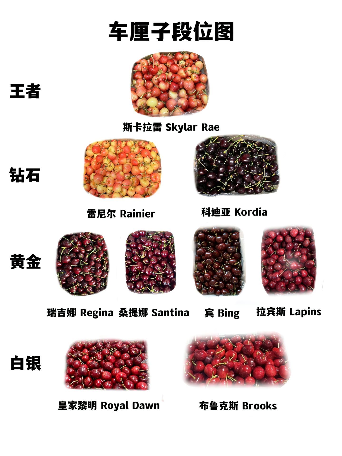 如果车厘子有段位