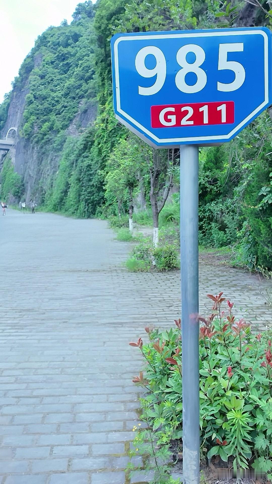因“G211+985”的巧合，高考季常有不少人前来此处拍照，以求讨个彩头，这里也