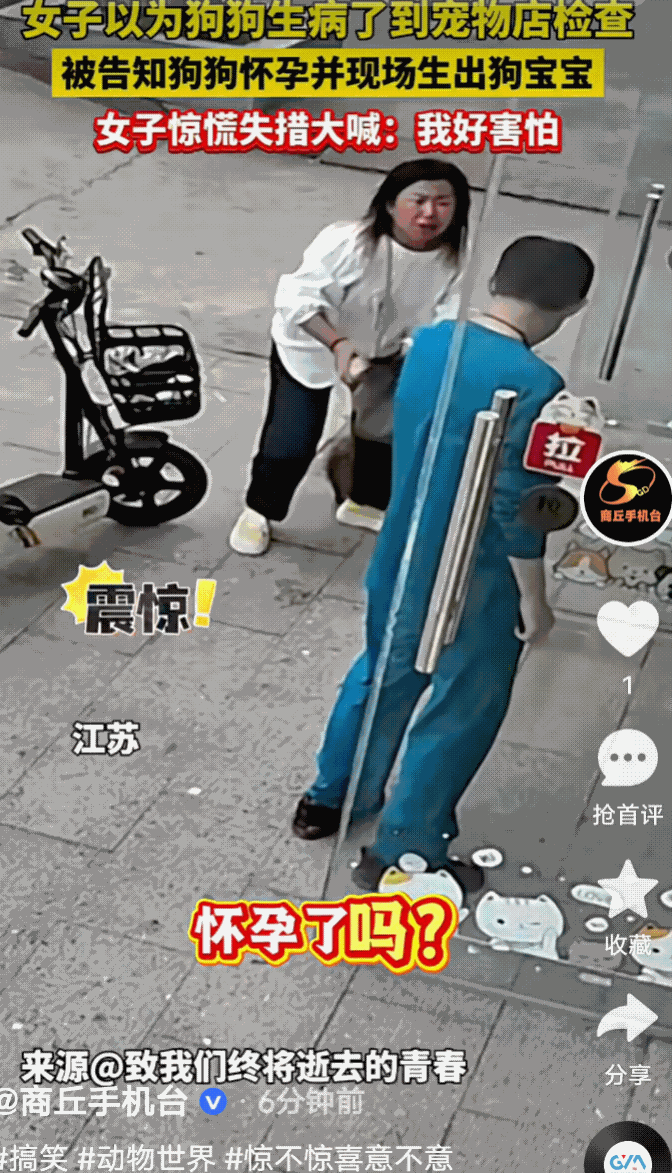 笑不活了！最近，女子总觉得自家狗狗怪怪的，就特意带它到宠物医院查看，然而，医生给