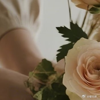0000保持乐观和积极的心态，任何事情都不做负能量的估判，和正能量的人相伴，你就