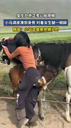 调皮的小马也想要做舔狗吗？[捂脸哭][捂脸哭][捂脸哭]