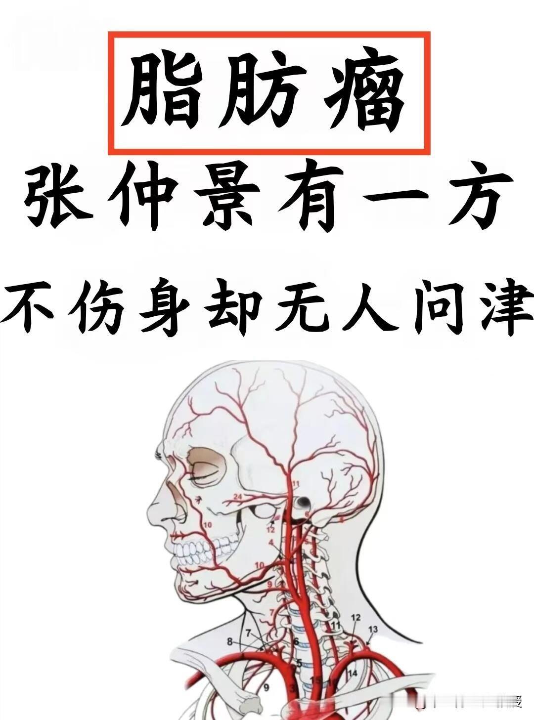 人为什么会长脂肪瘤呢？在中医理论中，脾胃被视为身体的核心枢纽。脾主升清，负责