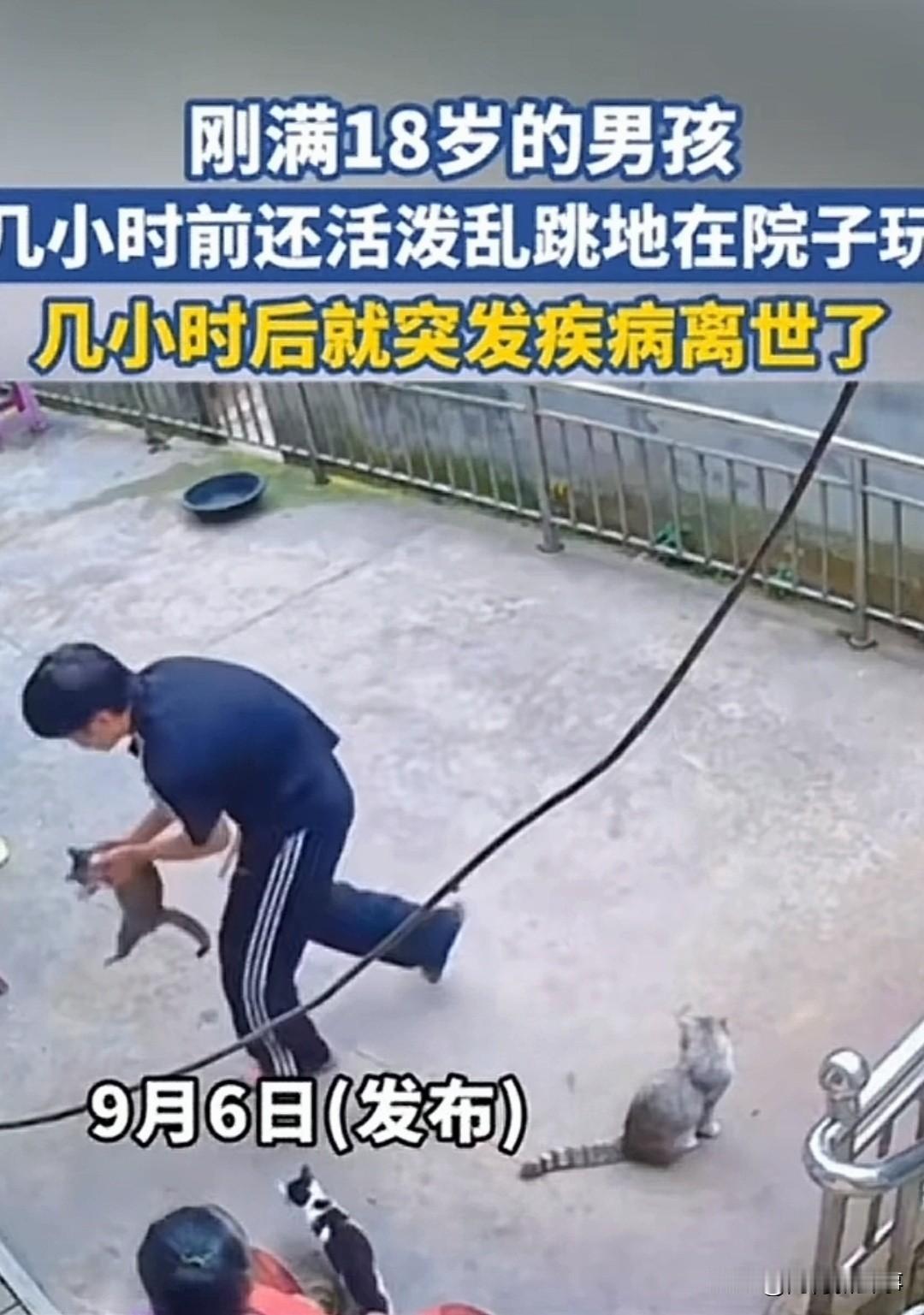 痛心！家属怎么都接受不了，一刚满18岁男孩几个小时前孩子还在院子里笑着逗猫。没有