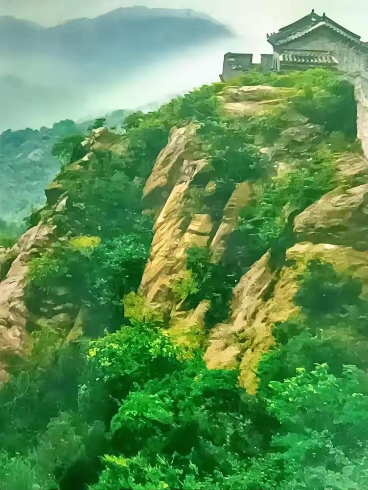 今天去菜市场买菜，可真是遇上件新鲜事儿！卖菜的大妈突然一把拉住我的胳膊，神神秘秘