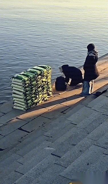 往鸭绿江里倒大米。你没看错，是倒大米，一袋一袋的。她说这叫“放生”。我当时