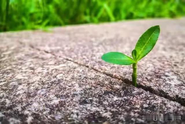 无论任何关系，所有对你态度恶劣的人，都是你自己惯出来的。无论多么要好的关系