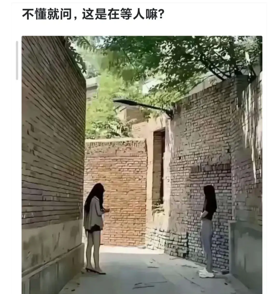 她们是在等什么人吗？？？
