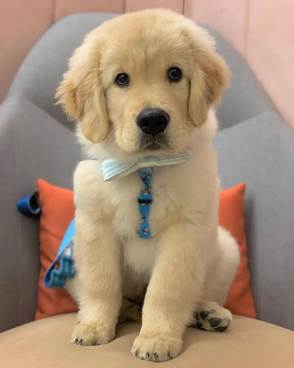 入学后拍的第一张证件照！