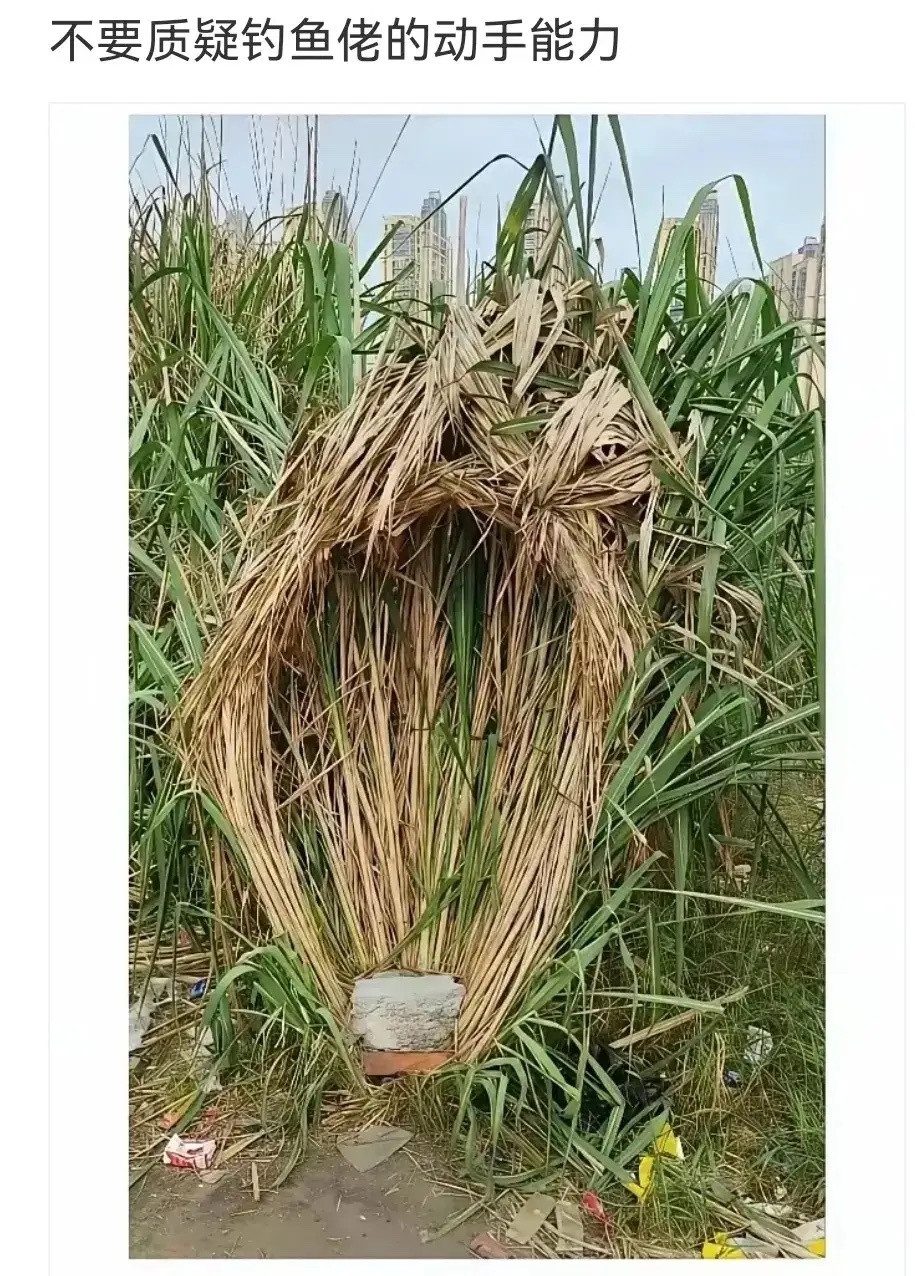 果然钓鱼佬都是人才！