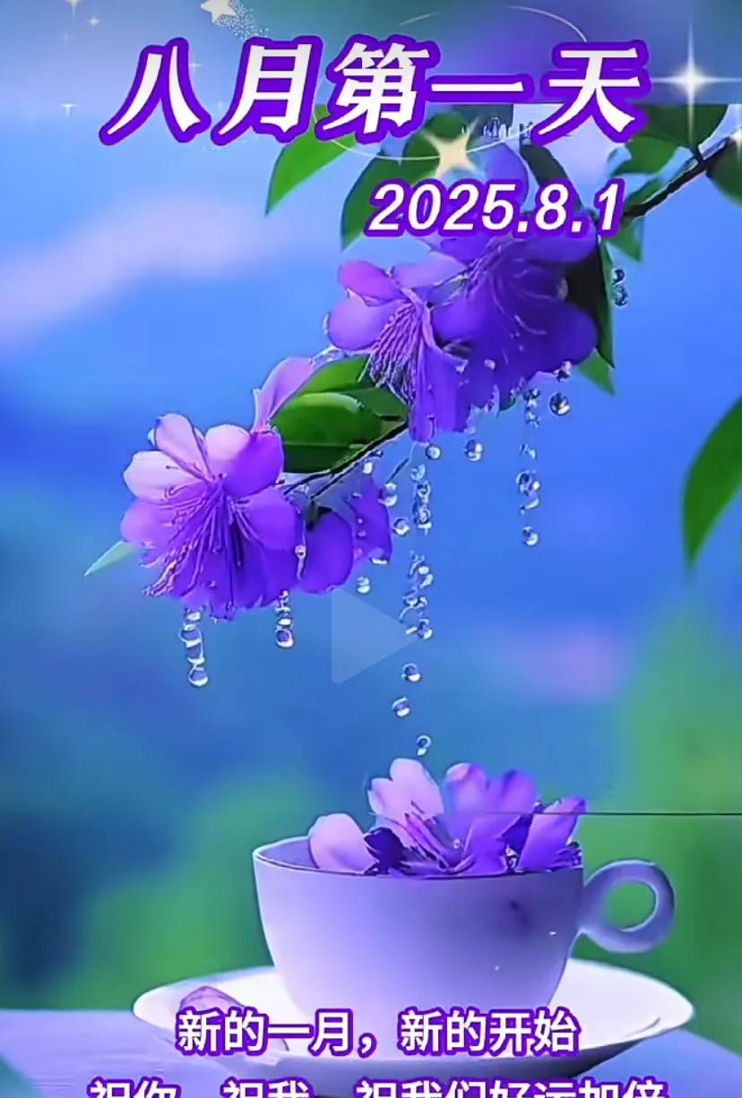 八月晨曦，花开见好。建军节快乐！