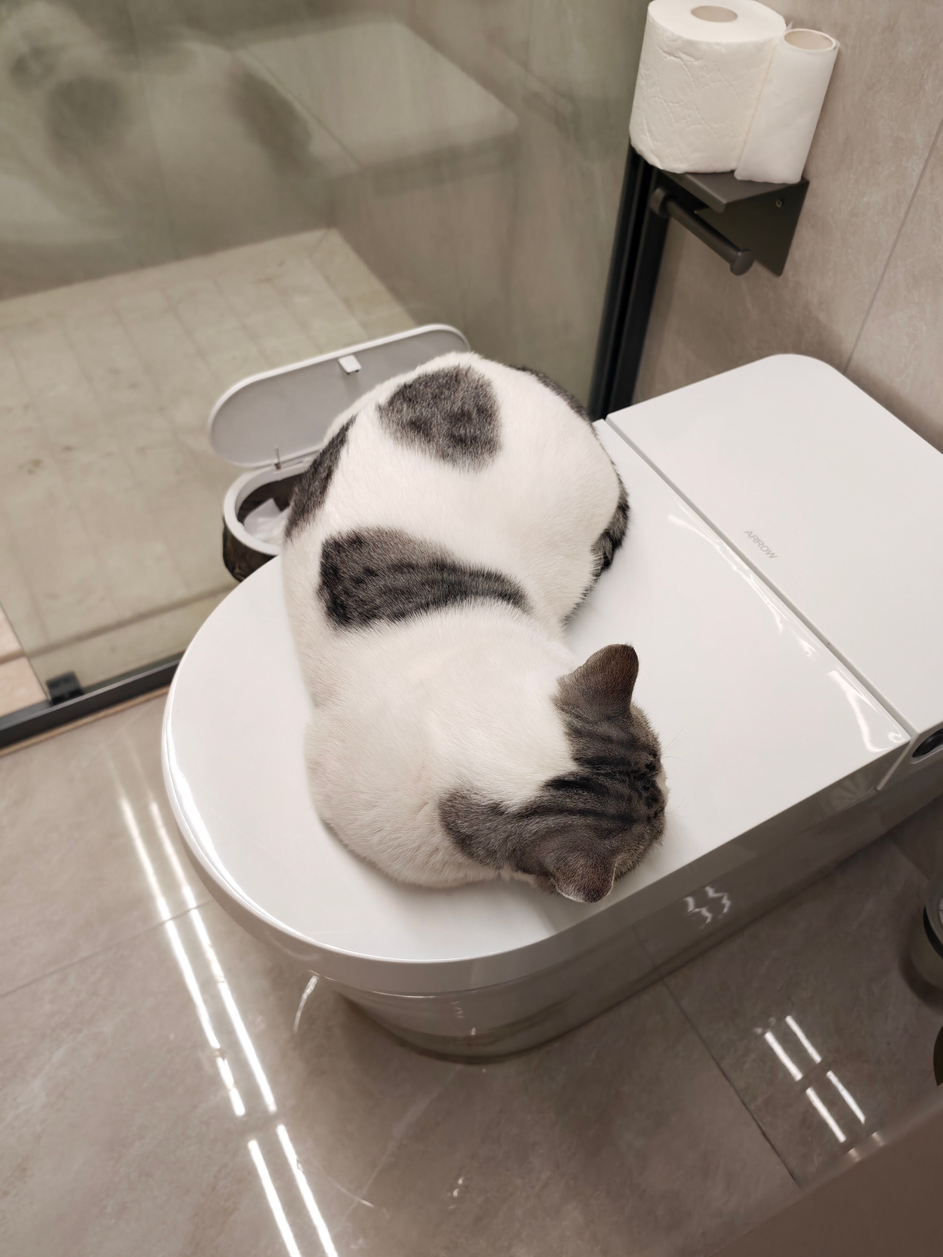 哥们马桶被封印了