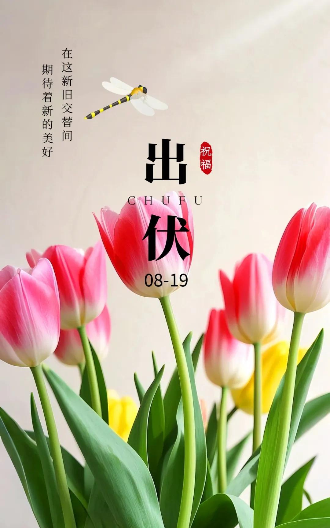 《五律·出伏盼秋》今朝辞酷伏，暑退爽风临。节序更迭急，幽怀自此寻。风摇秋影