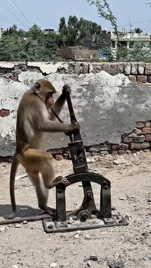 家里干了你兄弟。