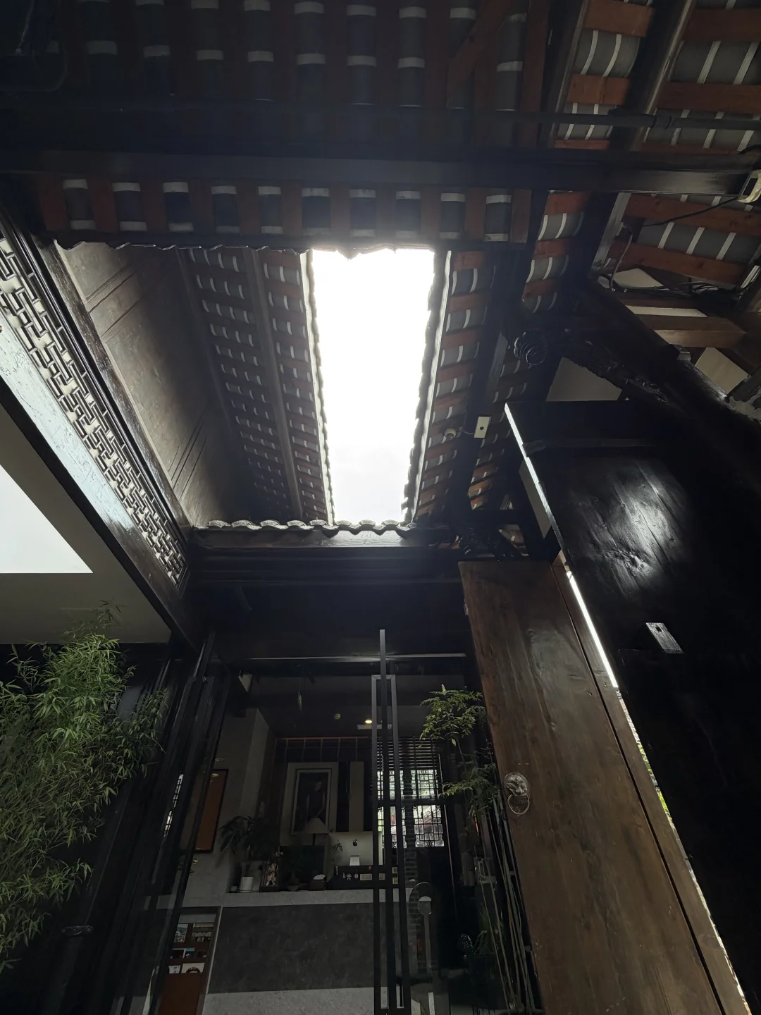 成都新开的！！带院子的咖啡店！！！！！