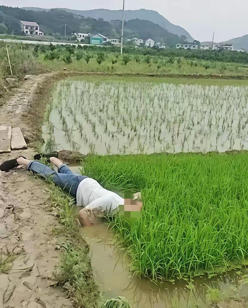 “并非谁死谁有理！”四川成都，一七旬大爷早起锻炼时，路过一片稻田，当他来到稻田边