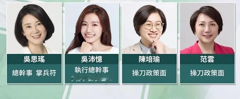 民进党确认征召沈伯洋参选台北市长，实在是因为蒋万安太强，其他人觉得没戏，参选必败