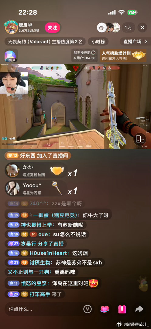 张泽禹在这队