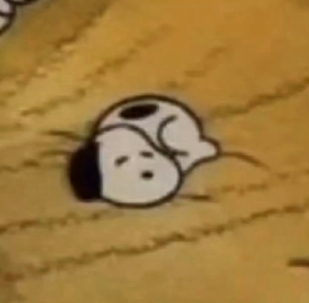 原来动画片都是真的：