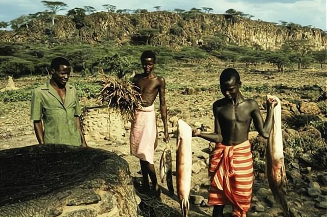 非洲肺鱼的悲伤：不吃不喝藏在地下好几年，还是躲不过人类的挖掘咱们先得给这位“老