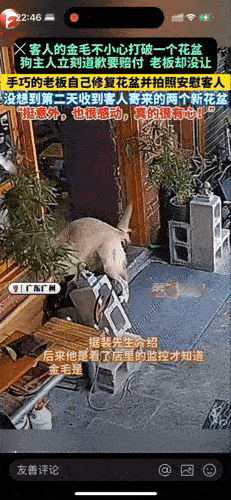 广东广州，客人在饭店吃饭时，把狗狗拴在店门外。谁知，狗狗竟然把店门外的花盆给打碎