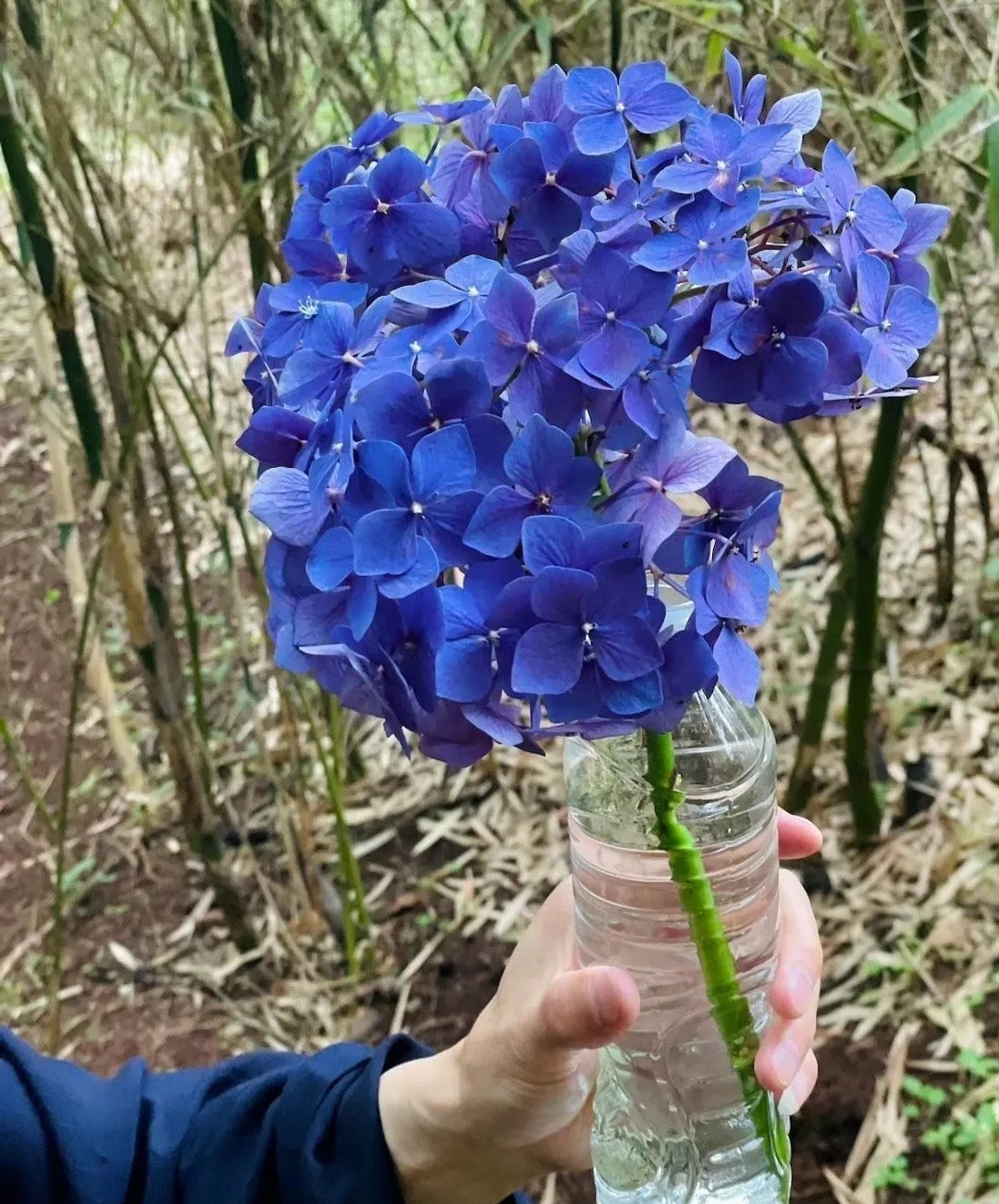我发现体制内的女人都有以下几个共性：1、穿着都很朴素，衣服以黑白为主，款