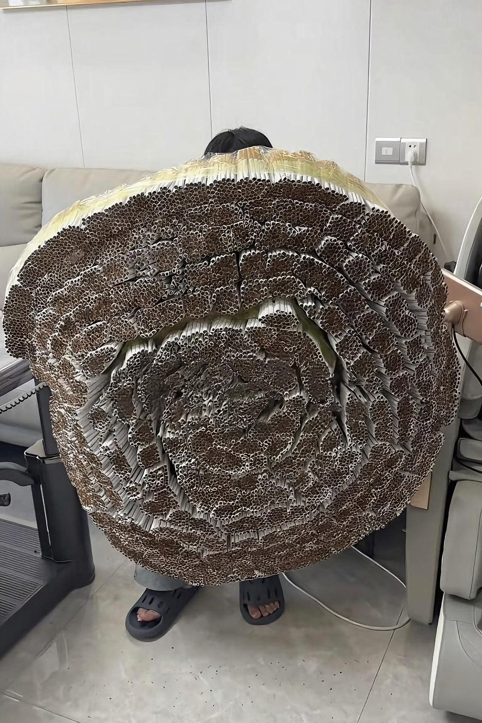好家伙，这口整上了，活到明天都算喜丧