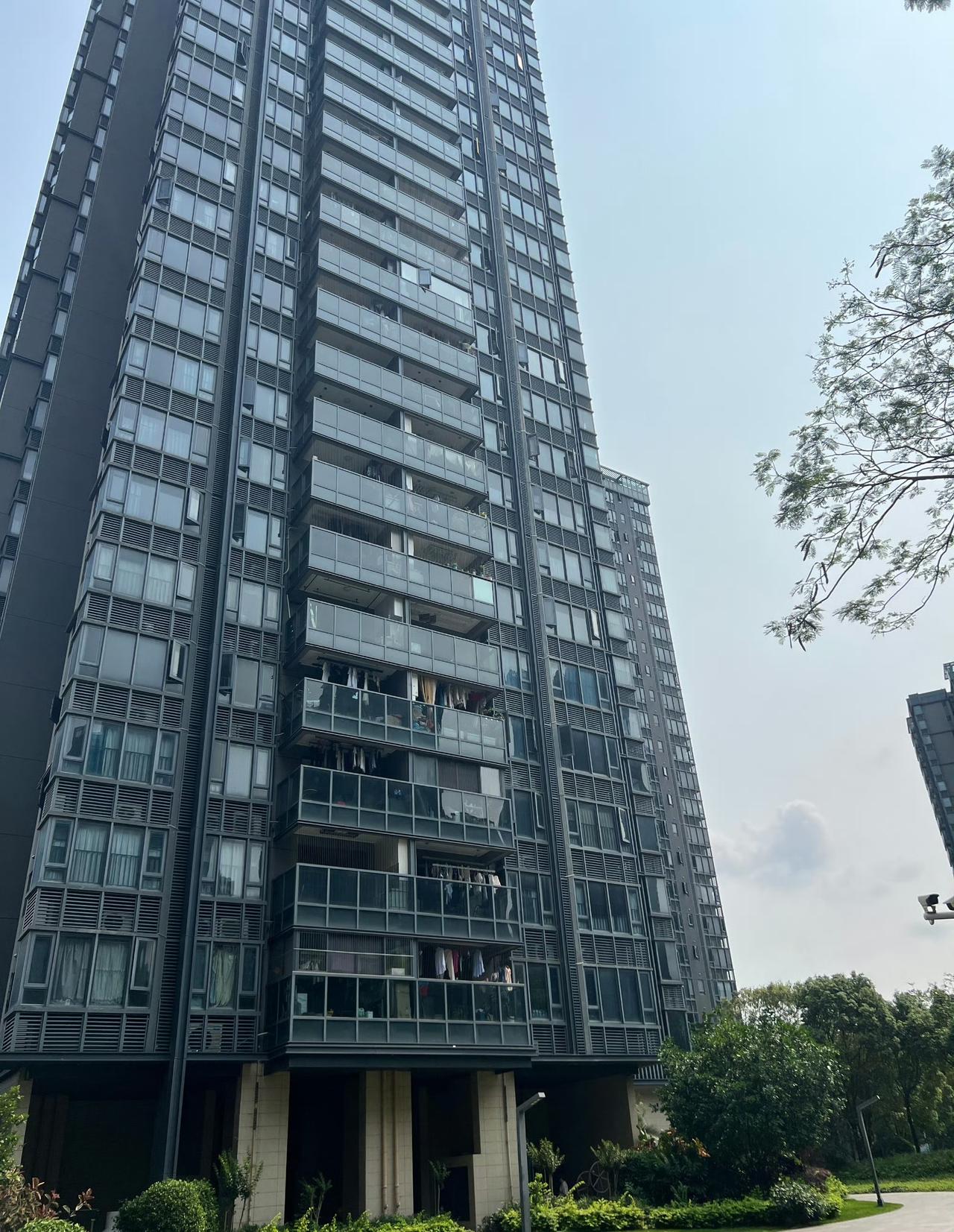 今日运势：丙午年壬辰月丁卯日2026.4.23日鼠：合理规划提升效率牛