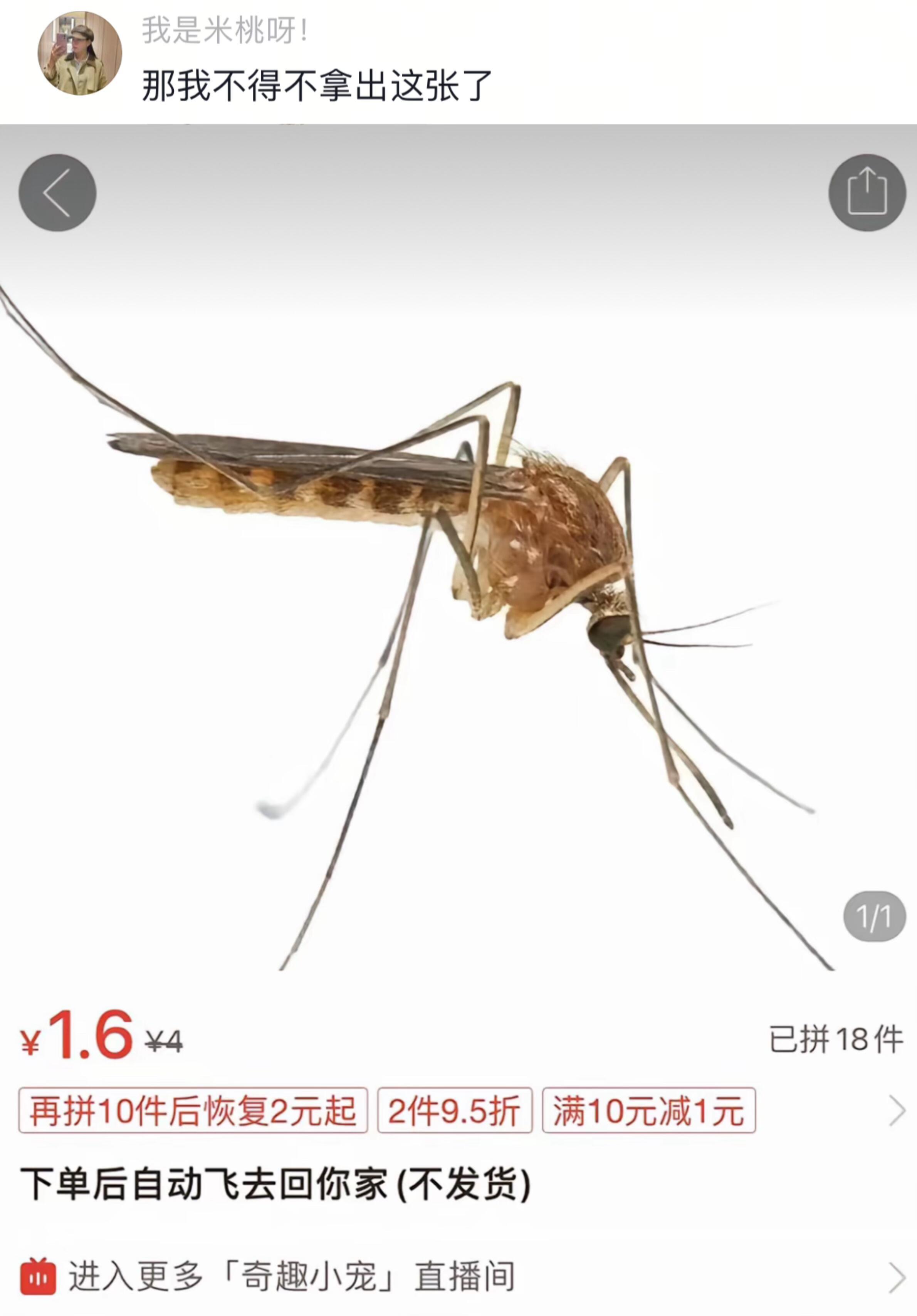 你们网购都这么离谱的吗,每一个都是快递员看到会晕倒的程度