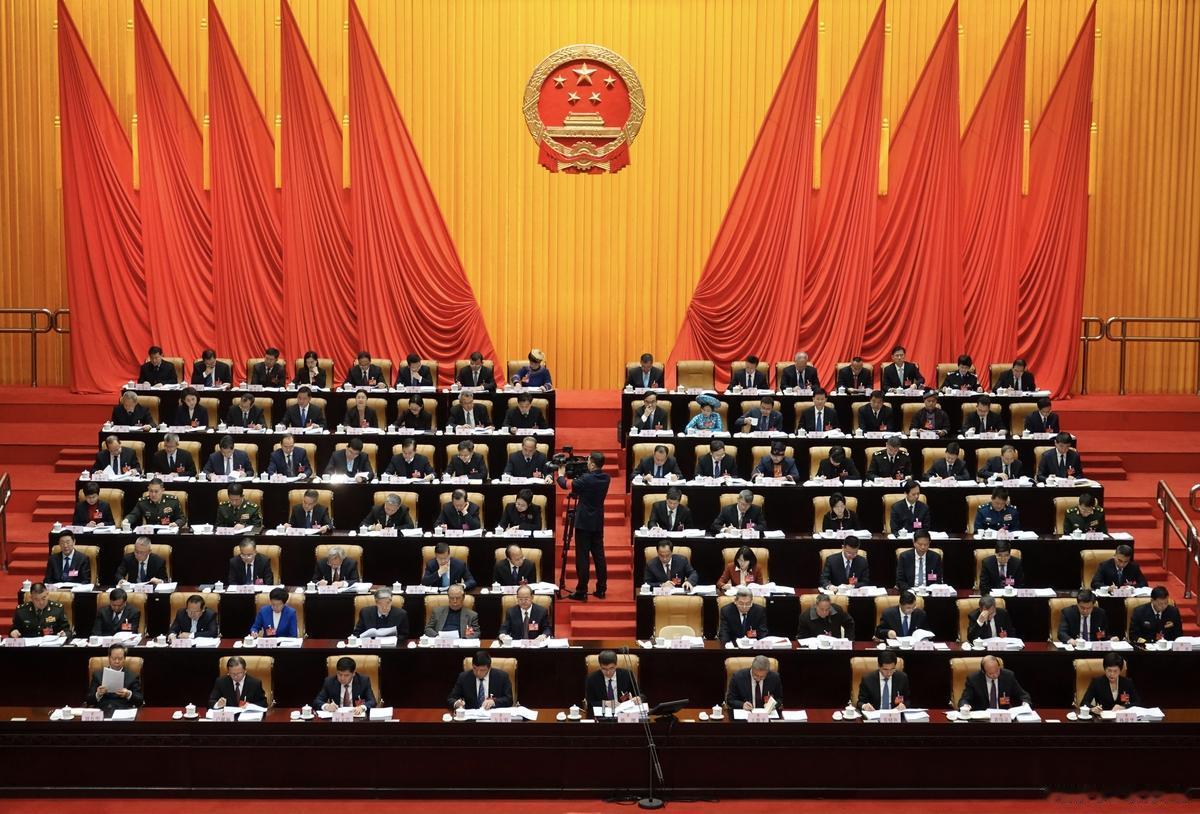 人大代表与政协委员：履职要求、权利义务及豁免权解析在全国两会的政治实践中，