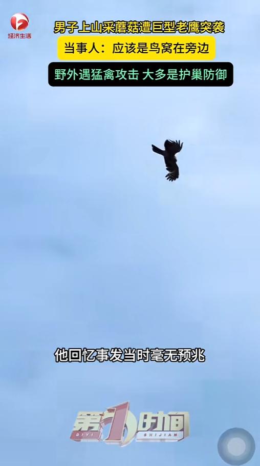 “万万没想到！”6月14日，重庆，一男子带着媳妇儿日常上山采蘑菇，没想到半