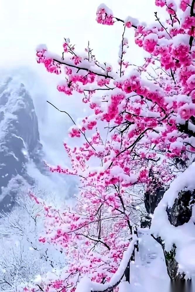 眼睁睁看着它冲上去，又眼睁睁看着它掉下来。折腾了一天，最后不多不少，就跌了6分