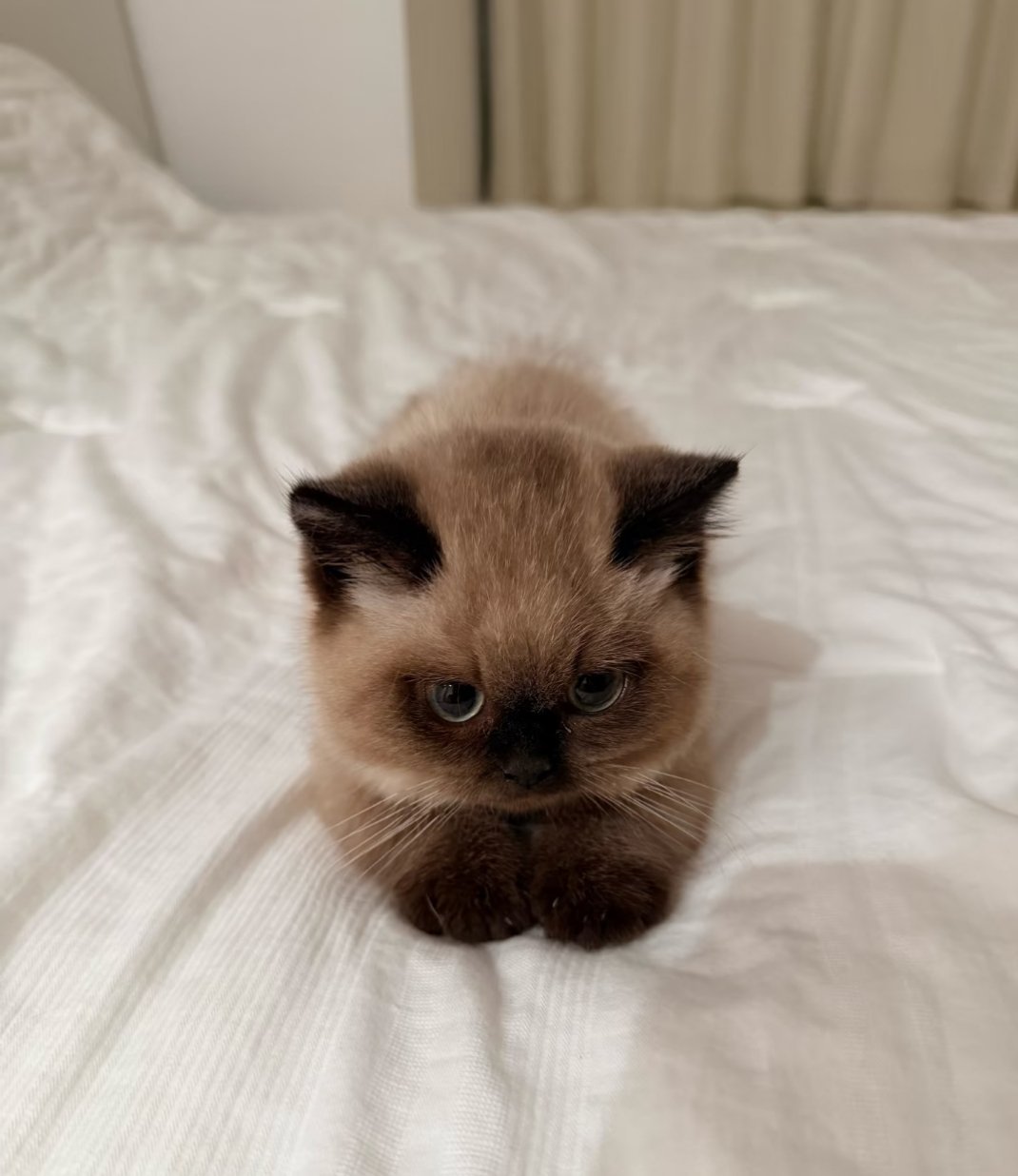 天天臭着脸就算了！手脚也不干净