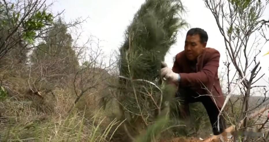 三年前，一个90后的年轻人咬咬牙辞掉了城里一个月能挣一万多的好工作，回到老家，把