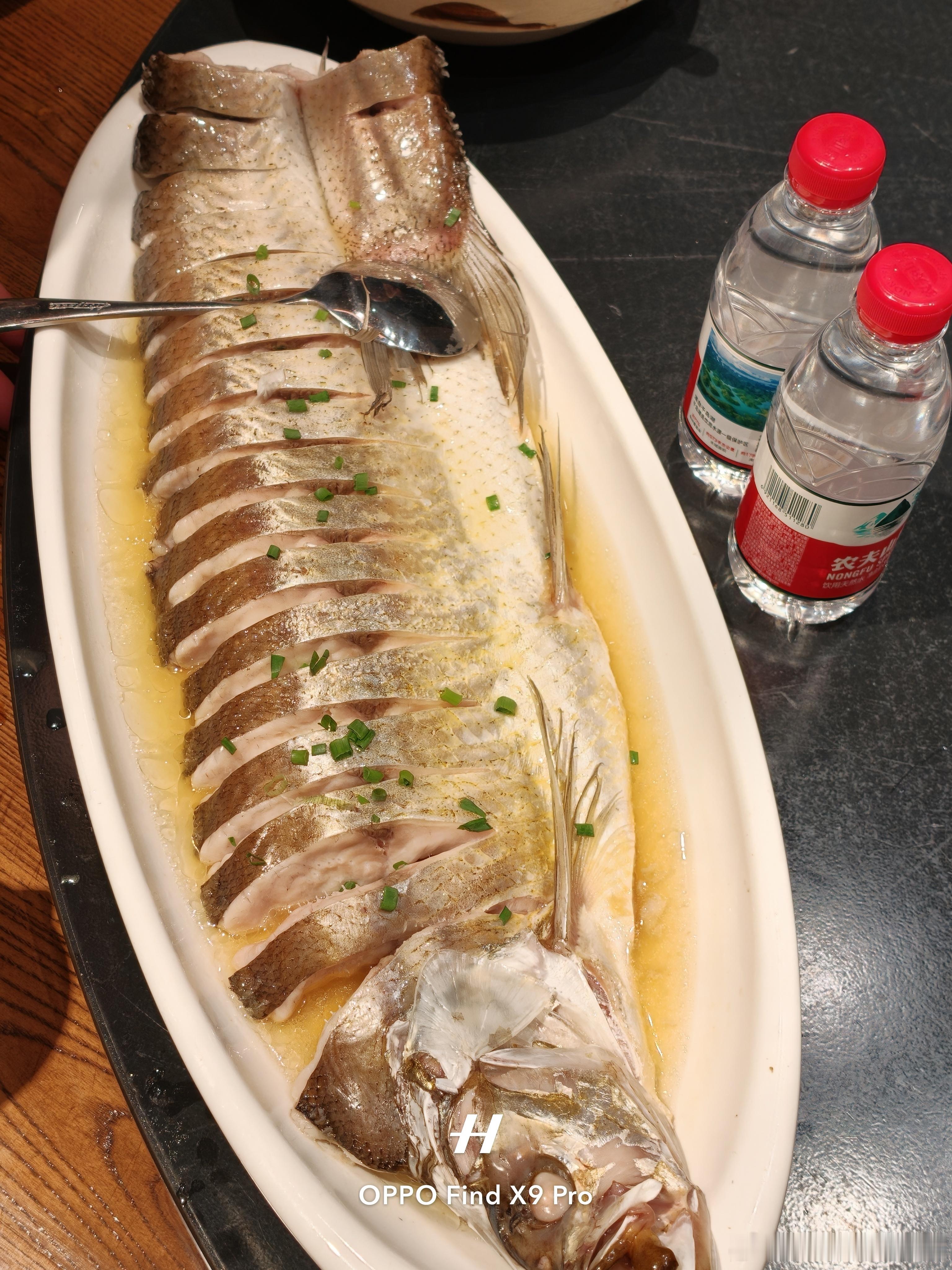 大家有没有吃过这种鱼？舟山·舟山绿城玫瑰园酒店