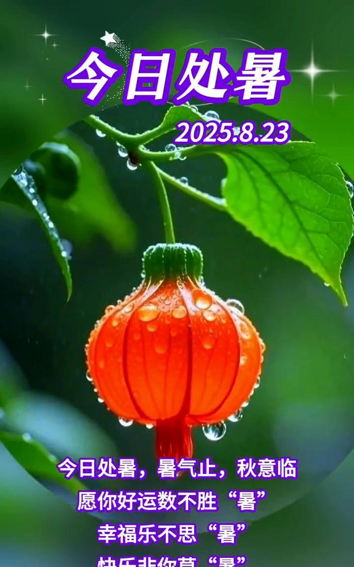 今日处暑。2025.8.23。今日处暑，暑气止，秋意临。愿你好运数不胜