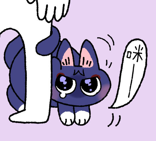 谁欺负猫了