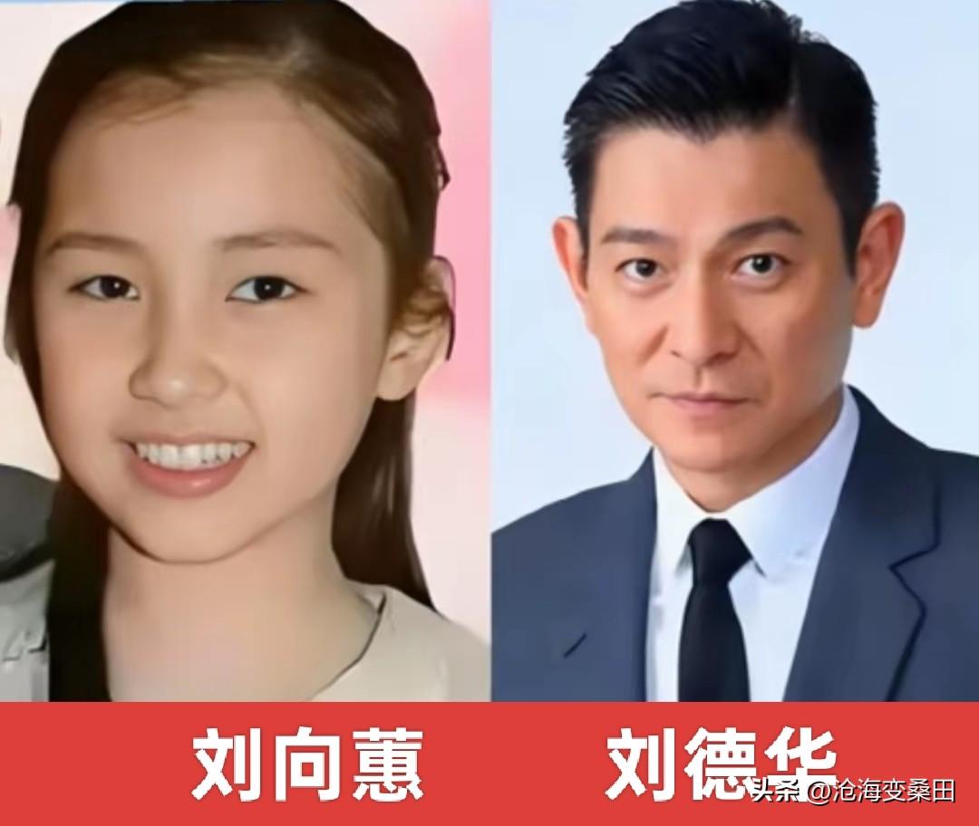 四大天王与女儿同框，谁的女儿最惊艳、最漂亮、最像爸爸？刘德华女儿刘向蕙，完美继承