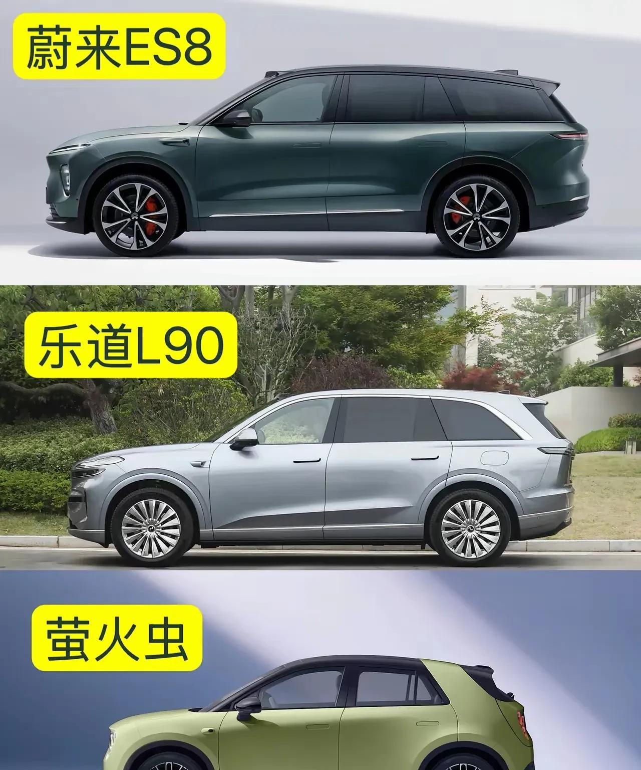 本人觉得蔚来，乐道设计很在线。实话，就是换电营销影响它，有人觉得很方便，但是还是