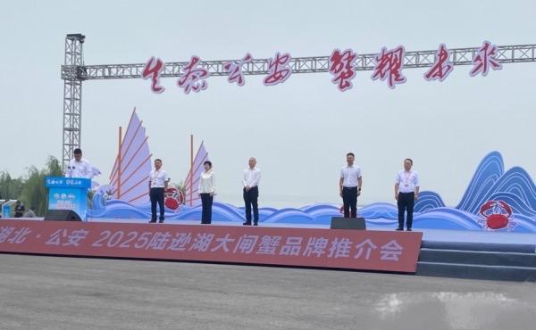 1.9万元一对螃蟹！湖北“蟹王蟹后”拍出天价，专家却说：这价低了！正文：阳