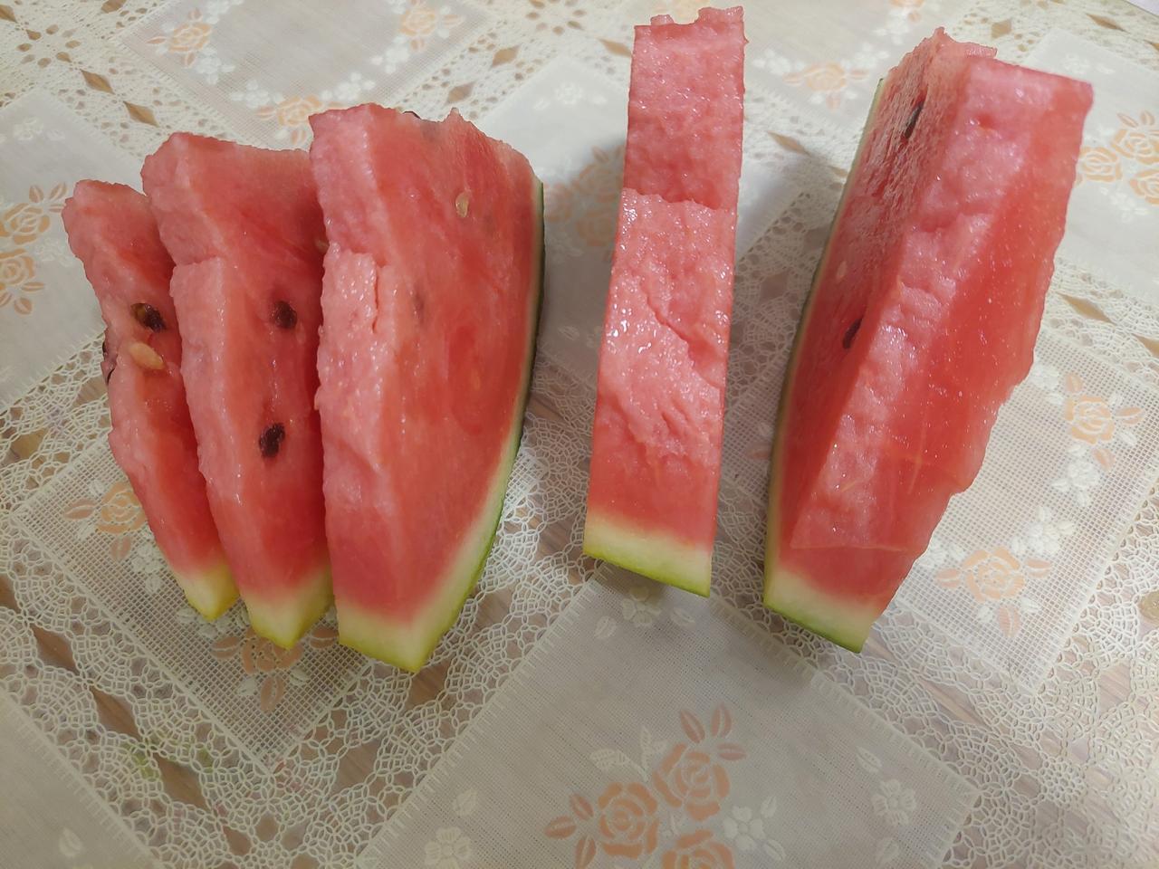 今天29°，我屋终于开了空调扇。一开始小狗子在我屋来回窜，有点懵，寻思这是个啥
