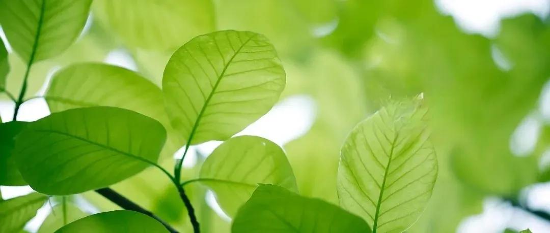 这次退休人员涨养老金真的是向低收入人群倾斜了。我大姐是企业退休，养老金每月是28
