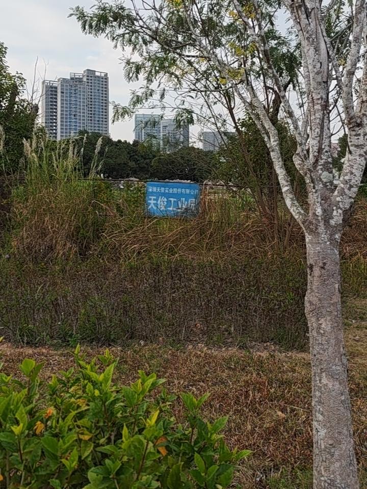 这块地荒了好多年了，一直在这里。这块地是深圳天俊实业股份有限公司名下的天俊工