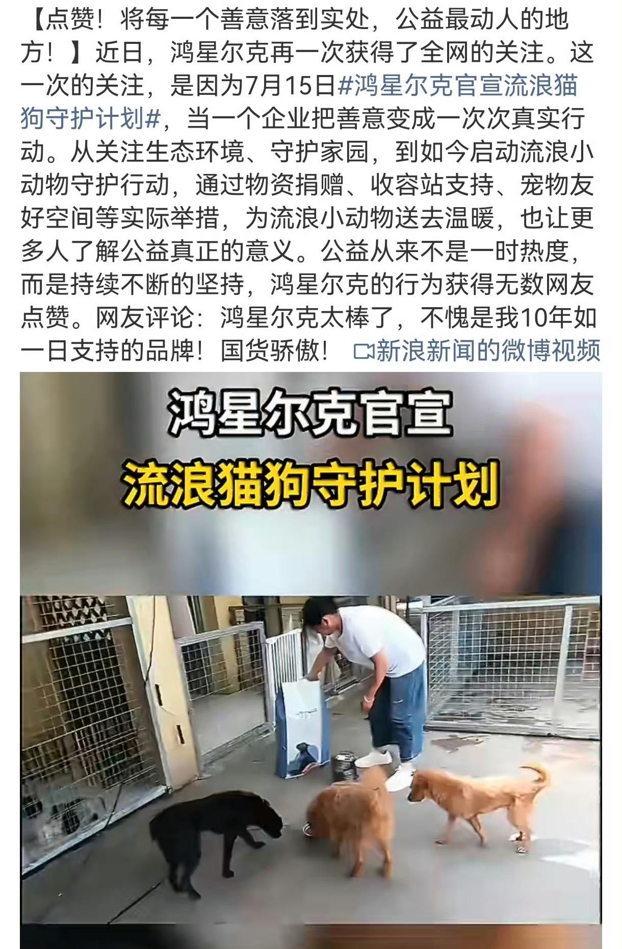 为什么会有越来越多的流浪猫呢?鸿星尔克流浪猫狗公益出圈，但宠物进店争议该如何化