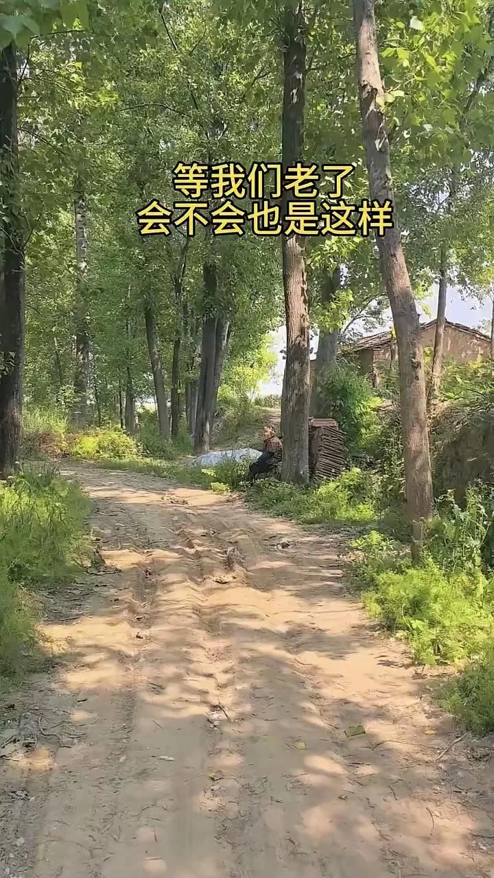 真心话茶局底层人来讲，梦不定都是真的。