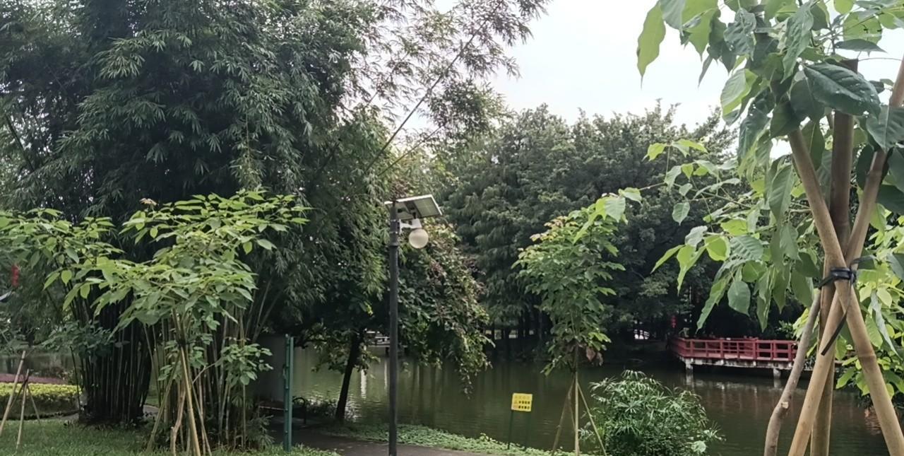 人性在这一刻显得无比卑微。老孟说老丈人胃癌晚期，再次复发后求生欲望特别强。但